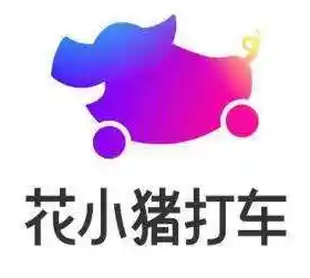 花小猪五折新人